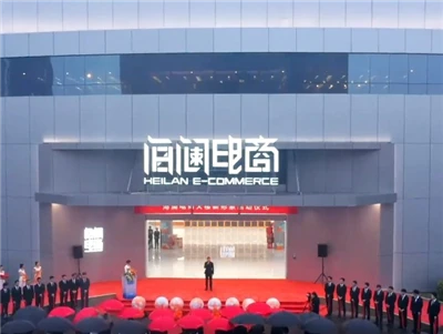 HLA E-commerce Live Streaming Base Small Pixel Pitch LED Screen Solution