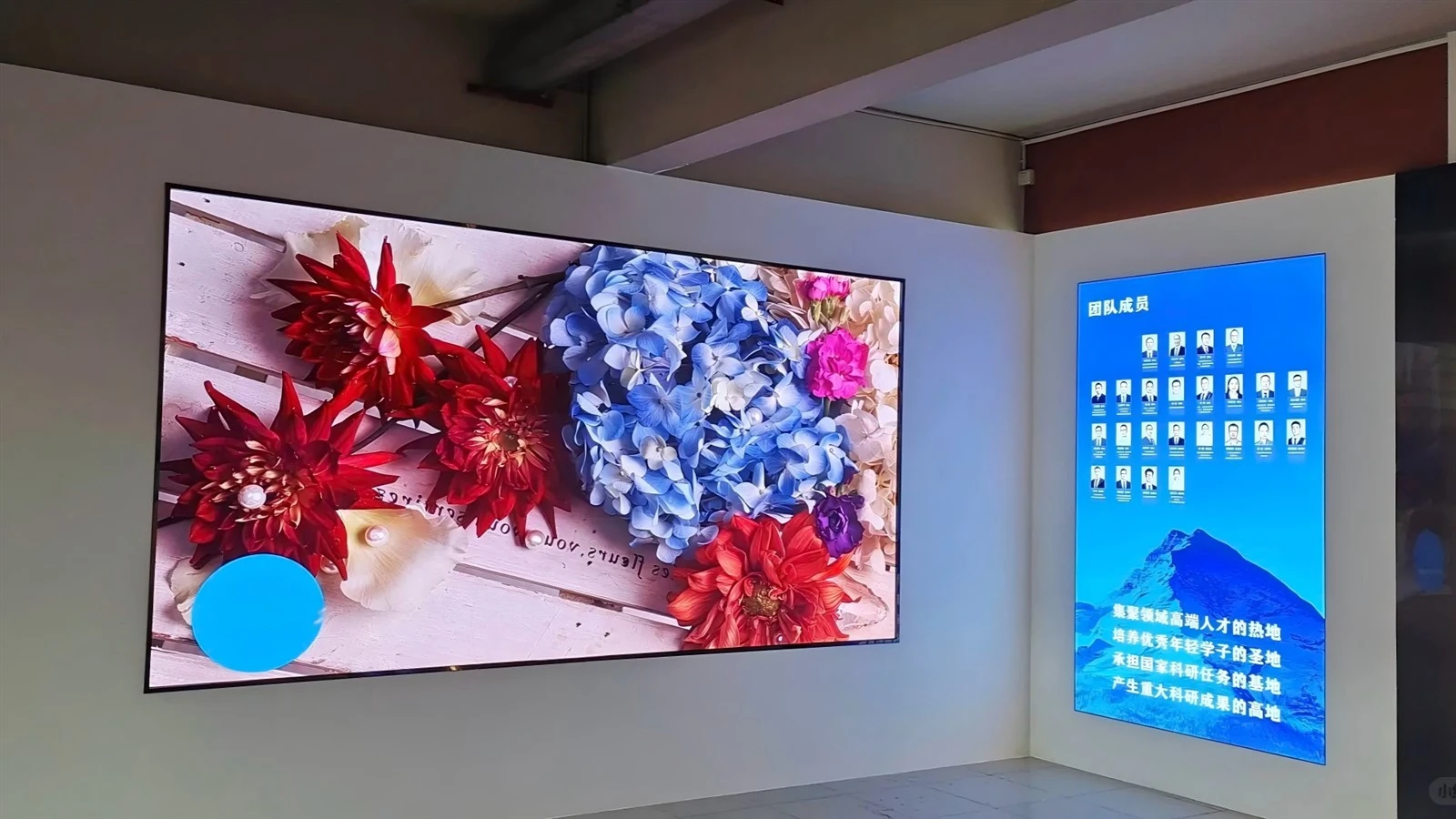 Indoor Small-Pitch LED Displays